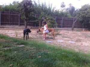 Gracie, Annie, and Razi Gracie, Annie, and Razi