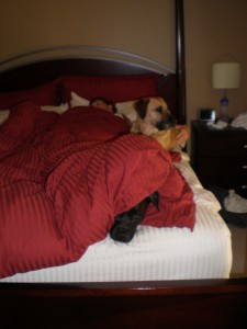 Mike and the girls in bed