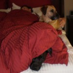 Mike and the girls in bed Mike and the girls in bed